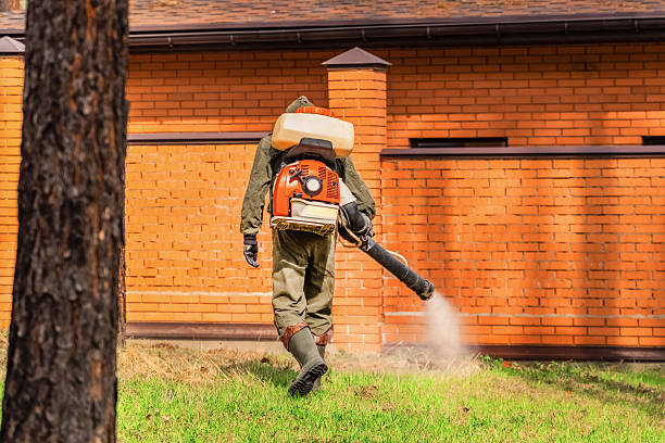 Cockroach Follow-Up and Monitoring in Olive Branch